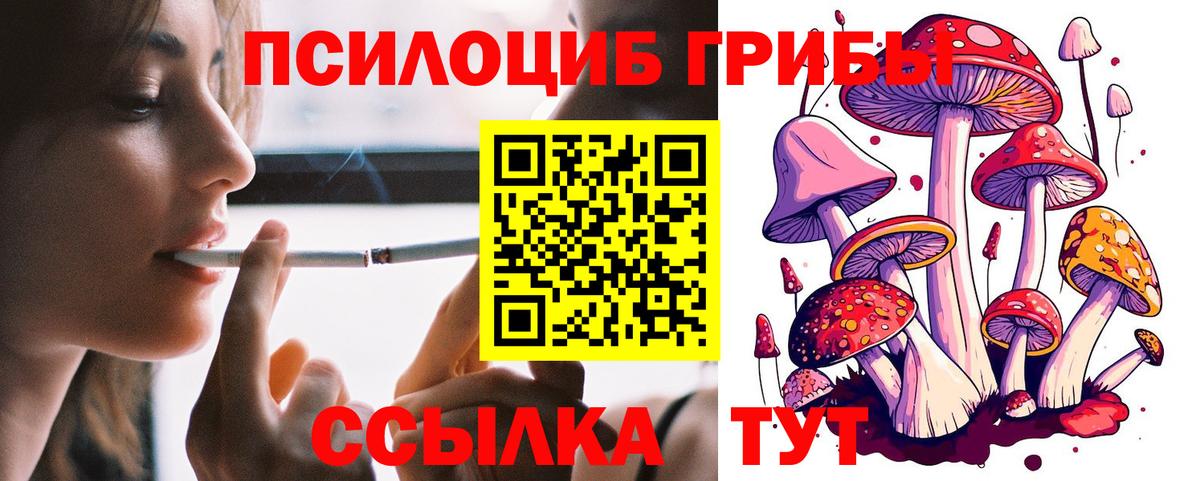 Галлюциногенные грибы мухоморы Строитель