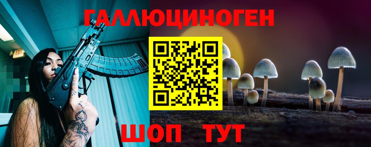 Псилоцибиновые грибы GOLDEN TEACHER  Вход с VPN  Строитель  Галлюциногенные грибы прущие грибы 